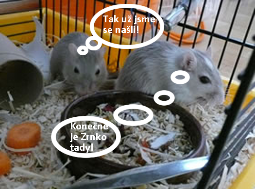 komix_obr_4.png